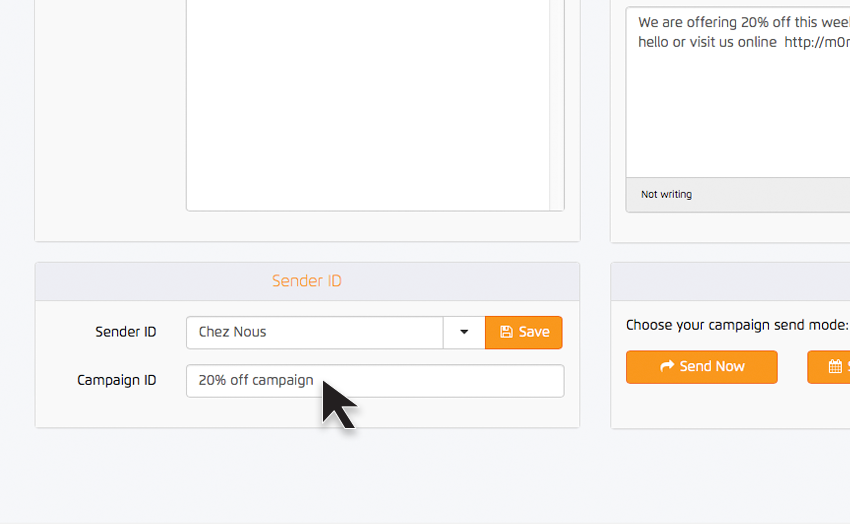 SMS marketing campaigns 